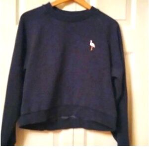 Aritzia Sunday Best sweatshirt - Cropped Raglan